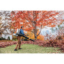 Stihl BR 800 C-E BACKPACK BLOWER | ARNS Equipment in Calgary & Online Across Canada