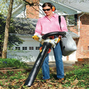 6e25757b-2fef-4e49-e92e-08dd572a02d2