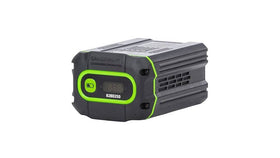 d09afa98-dc96-4954-06d2-08dc2c9dacbd