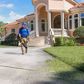 Stihl BR 800 C-E BACKPACK BLOWER | ARNS Equipment in Calgary & Online Across Canada