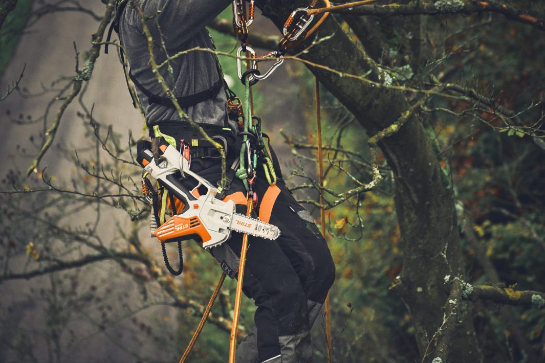 STIHL® GTA40 Chainsaw